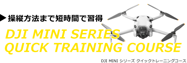 Mini-Series-quicktraining-course-title