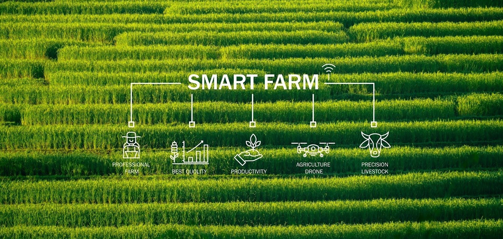 スマート農業のメリットとデメリット